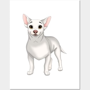 White Chihuahua Dog Posters and Art